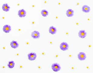 Floral pattern made of violet asters and chamomile on white background. Flat lay. Top view.