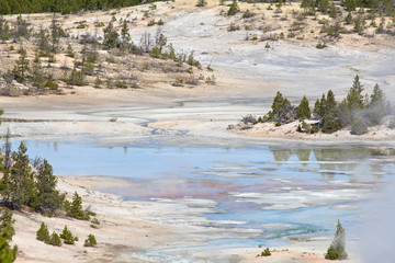 Norris geyser basin