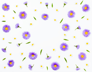 Floral frame made of violet asters and chamomile on white background. Flat lay. Top view with copy space.