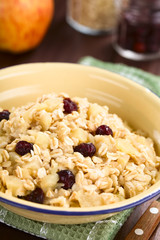 Fresh homemade vegan cooked apple, oatmeal, cranberry and cinnamon porridge, ingredients in the back (Selective Focus, Focus in the middle of the porridge)