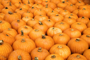Colorful pumpkins