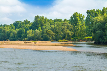      Beautiful sandbars and rivebanks of Drava river in Podravina, Croatia, green nature landscape 