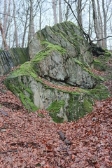 Felsen an der Wupper