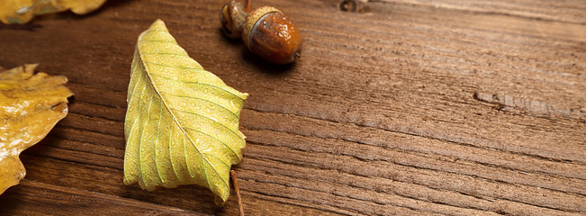 Autumn leaves and acorns over old brown wooden background with empty space, border design panoramic banner 