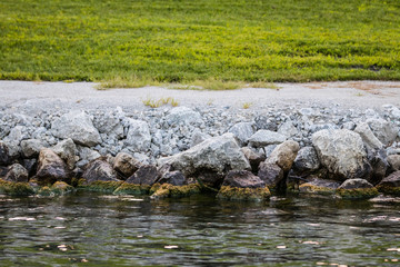 Mossy Rocks at the Lake