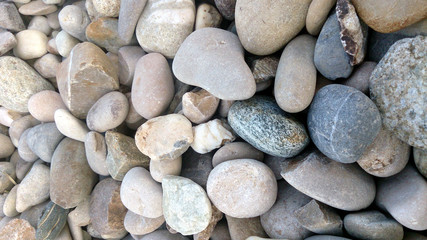 Petits galets plates, gris, marron, beige et blancs, au bord du fleuve Rhone, Lyon, France