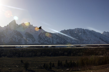 Grand Teton National Park