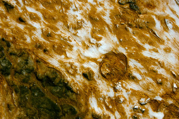 Yellowstone Hot Springs