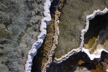 Yellowstone Mammoth Springs