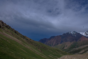 left talgar