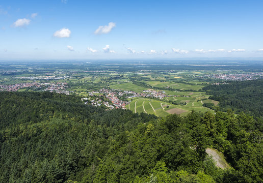 View over the Black Forest to the vineyards of the village Varnhalt near Baden Baden, Germany