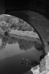 Brücken Bögen Sieg Fluss Wasser Schwarzweiß