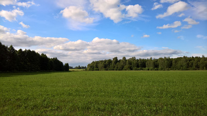 field