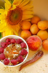 Healthy breakfast. White plate of oatmeal with dried apricots and raspberries, a glass of an apricot juice and fresh apricots on a white table.