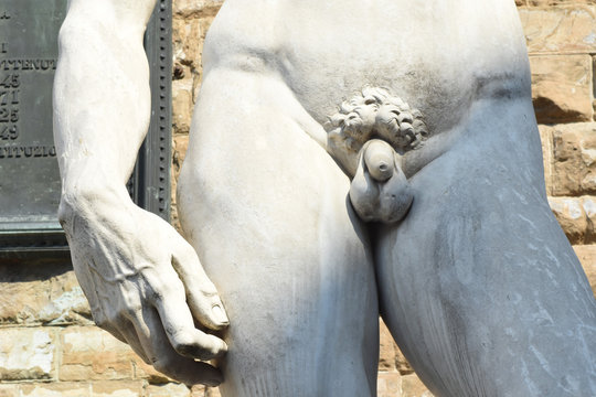 David di Michelangelo - Firenze