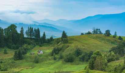 Obraz premium Authentic carpathian house on a green mountain hill