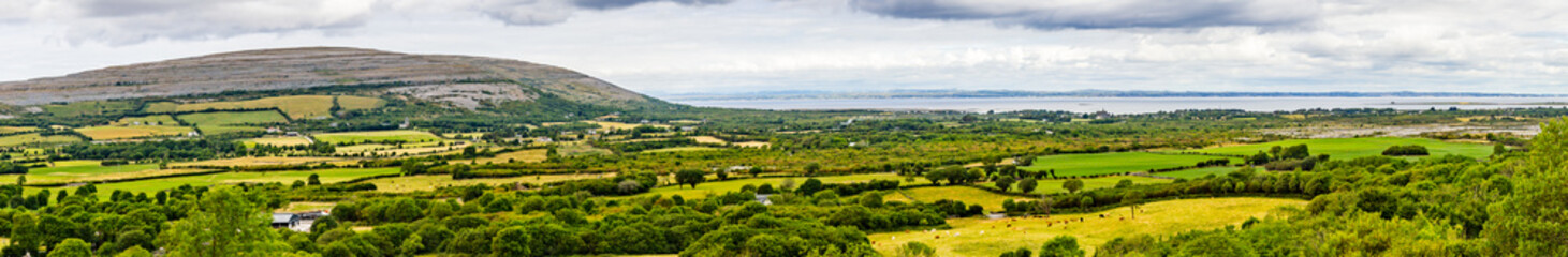 Fototapeta na wymiar Galway bay with Farm field, mountain and vegetation in Ballyvaughan