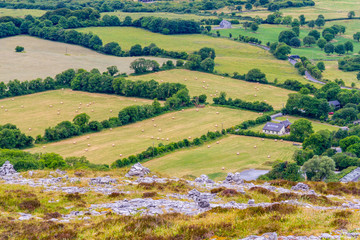 Farm field, mountain and vegetation in Ballyvaughan