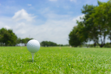 Golf concept : Golf ball on golf course, an golf ballset up for tee shot. Fairway as background.