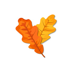 Autumn leaves (maple, oak, birch, chestnut and other plants) of various colors. Vector illustration.