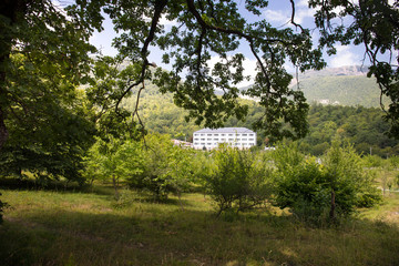 Beautiful landscape of mountains and forest with buildings at summer