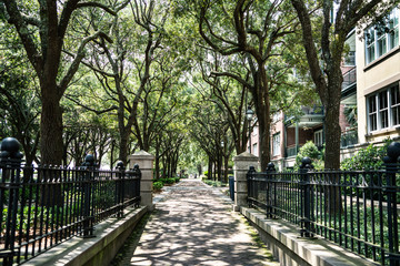 Obraz premium Charleston Waterfront Park