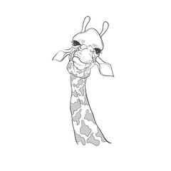 Funny poster. Portrait of a Giraffe handrawn. Vector illustration.