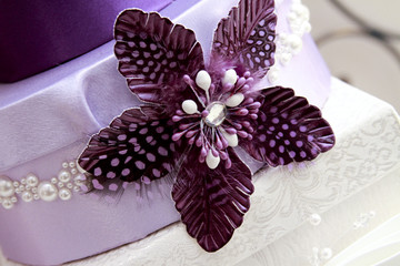 Purple feather star embellishment