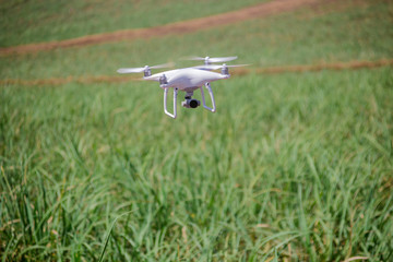 Drone flying at field. Concept of technology in the farm.