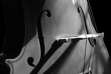 Cello 1 Black and White