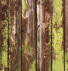 Wood plank texture background