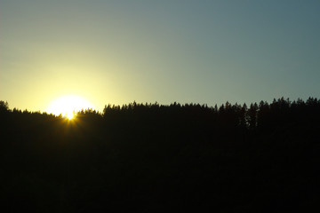 Fototapeta premium Sonnenuntergang mit Waldhorizont