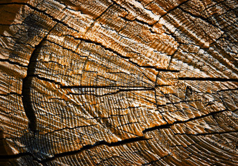 Fototapeta premium detail of painted wood with a crack