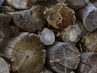 Naklejka premium woodpile texture of firewood