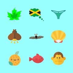 tropical icons set. ficus, night, iconic and looking at camera graphic works