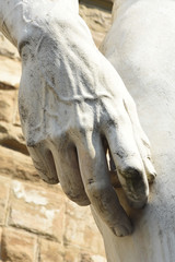 David di Michelangelo - Firenze