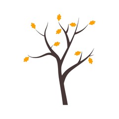 Autumn tree with yellow and orange leaves
