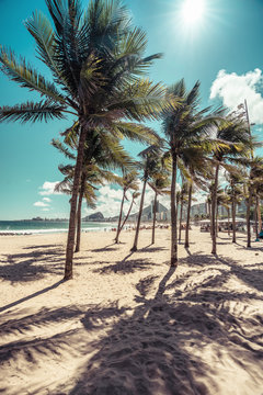 Copacabana Beach with palm shadows and sunshine, Rio de Janeiro, Brazil