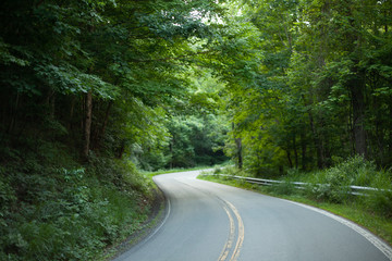 Obraz premium on_the_road_again