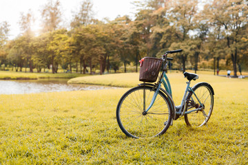Fototapeta premium Bicycle in autumn park. Sport and activity concept. Relax and activity concept. Leisure and nature theme. Yellow tone theme.
