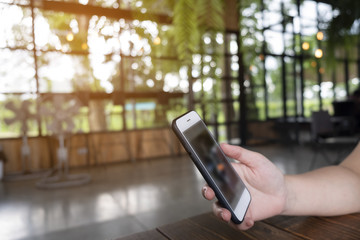 Hand holding mobile phone empty screen on coffee shop cafe, blurred background