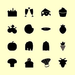 16 food icons set