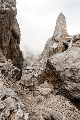 Latemar rocks landscape hiking trail near summit