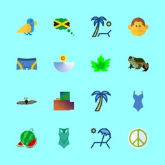 tropical vector icons set. watermelon, frog, monkey and pacifism in this set