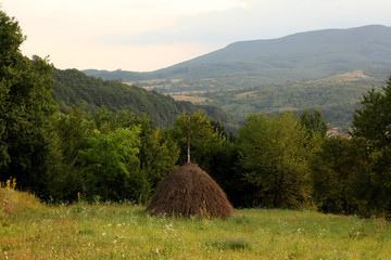 Mountain View. Carpathians, Ukraine. - 218672294