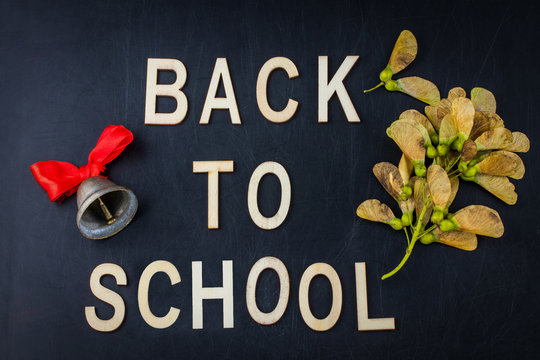 Back to school concept. Top view banner school bell and autumn dry leaves over classroom blackboard background