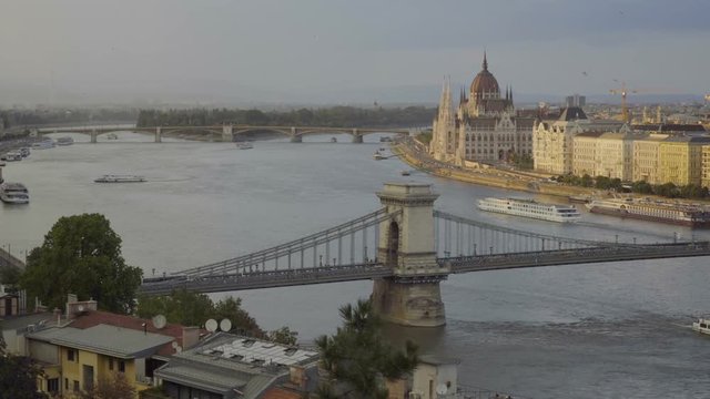 Birds in Budapest