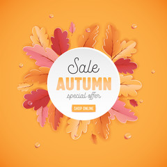 Autumn Sale Background Template with beautiful leaves Illustration for shopping sale, coupon, promotion poster and web banner in Vector