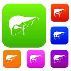 Liver set icon in different colors isolated vector illustration. Premium collection