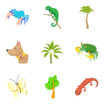 Herbivore icons set. Cartoon set of 9 herbivore vector icons for web isolated on white background